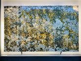 Alpinus Granite